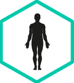 Fysiotherapie Bewust Utrecht